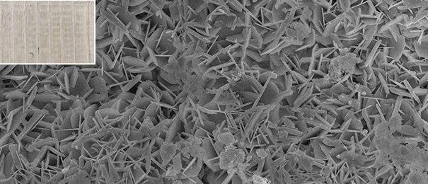 Cancrie Nanocarbon Surface Structure