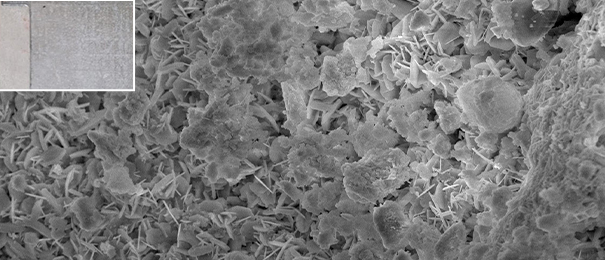 Carbon Black Surface Structure